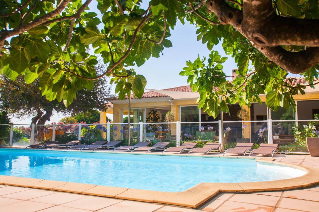 Maison Kiwi Avec Piscine Chauffee Terrasse Jardin Et Bbq A Calvi Calvi  Exterior foto